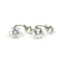 Stainless steel crystal earrings
